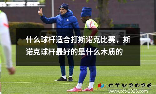什么球杆适合打斯诺克比赛，斯诺克球杆最好的是什么木质的