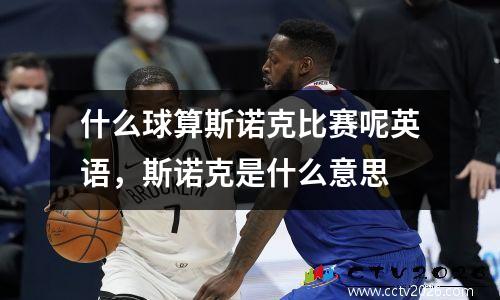 什么球算斯诺克比赛呢英语，斯诺克是什么意思