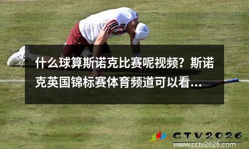 什么球算斯诺克比赛呢视频？斯诺克英国锦标赛体育频道可以看吗