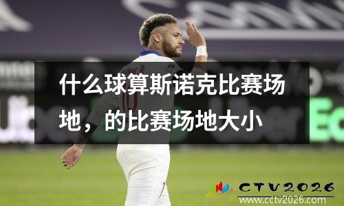 什么球算斯诺克比赛场地，的比赛场地大小