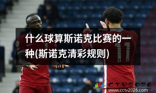 什么球算斯诺克比赛的一种(斯诺克清彩规则)