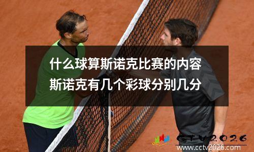 什么球算斯诺克比赛的内容 斯诺克有几个彩球分别几分