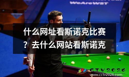 什么网址看斯诺克比赛？去什么网站看斯诺克