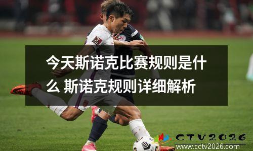 今天斯诺克比赛规则是什么 斯诺克规则详细解析