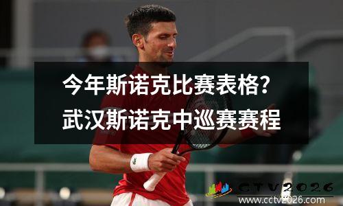 今年斯诺克比赛表格？武汉斯诺克中巡赛赛程