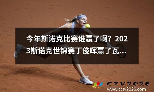 今年斯诺克比赛谁赢了啊？2023斯诺克世锦赛丁俊晖赢了瓦菲吗