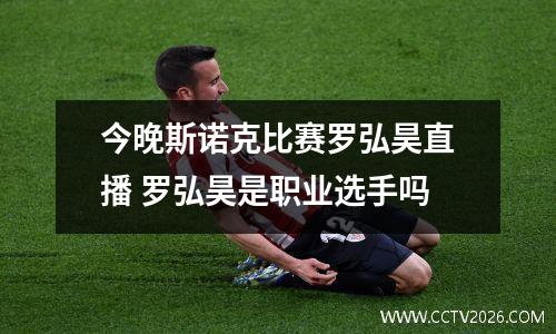 今晚斯诺克比赛罗弘昊直播 罗弘昊是职业选手吗