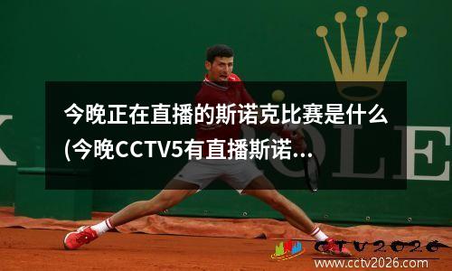 今晚正在直播的斯诺克比赛是什么(今晚CCTV5有直播斯诺克吗)