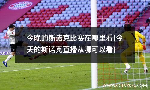 今晚的斯诺克比赛在哪里看(今天的斯诺克直播从哪可以看)