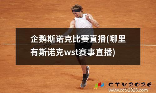 企鹅斯诺克比赛直播(哪里有斯诺克wst赛事直播)