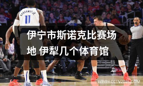 伊宁市斯诺克比赛场地 伊犁几个体育馆