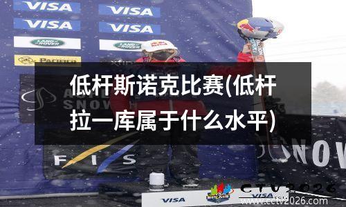 低杆斯诺克比赛(低杆拉一库属于什么水平)