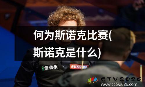 何为斯诺克比赛(斯诺克是什么)