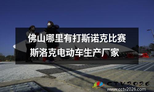 佛山哪里有打斯诺克比赛 斯洛克电动车生产厂家