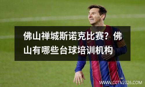 佛山禅城斯诺克比赛？佛山有哪些台球培训机构