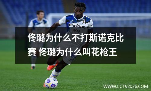 佟璐为什么不打斯诺克比赛 佟璐为什么叫花枪王