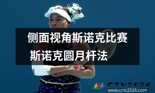 侧面视角斯诺克比赛 斯诺克圆月杆法