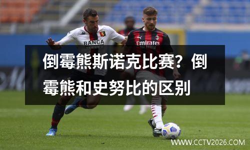 倒霉熊斯诺克比赛？倒霉熊和史努比的区别