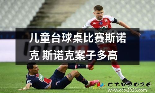 儿童台球桌比赛斯诺克 斯诺克案子多高