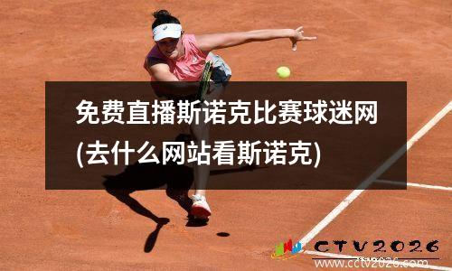 免费直播斯诺克比赛球迷网(去什么网站看斯诺克)