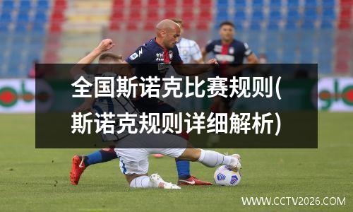 全国斯诺克比赛规则(斯诺克规则详细解析)
