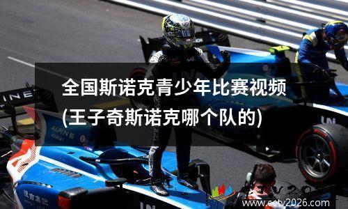 全国斯诺克青少年比赛视频(王子奇斯诺克哪个队的)