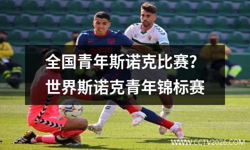 全国青年斯诺克比赛？世界斯诺克青年锦标赛