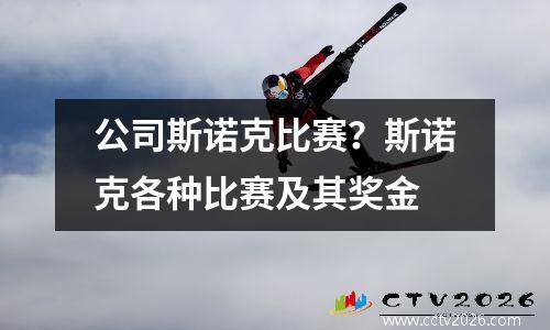 公司斯诺克比赛？斯诺克各种比赛及其奖金