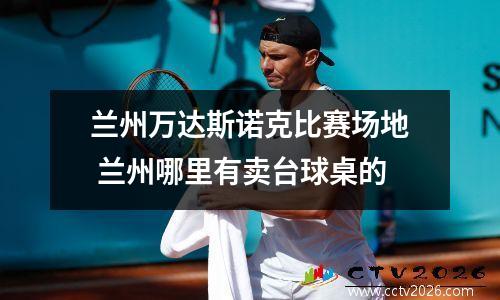 兰州万达斯诺克比赛场地 兰州哪里有卖台球桌的