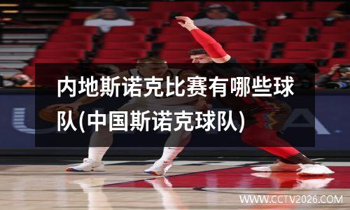 内地斯诺克比赛有哪些球队(中国斯诺克球队)