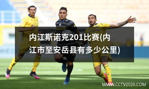 内江斯诺克201比赛(内江市至安岳县有多少公里)