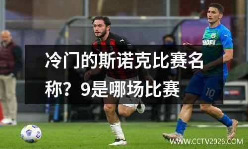 冷门的斯诺克比赛名称？9是哪场比赛