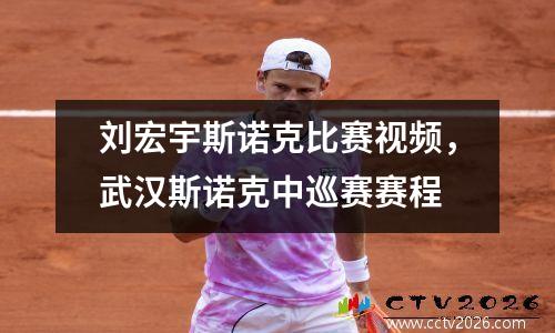 刘宏宇斯诺克比赛视频，武汉斯诺克中巡赛赛程