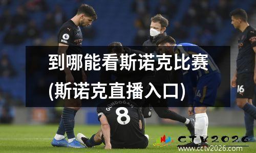 到哪能看斯诺克比赛(斯诺克直播入口)