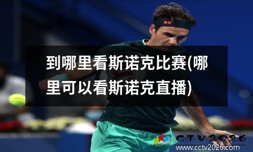 到哪里看斯诺克比赛(哪里可以看斯诺克直播)