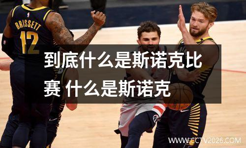 到底什么是斯诺克比赛 什么是斯诺克