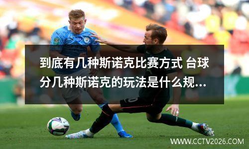 到底有几种斯诺克比赛方式 台球分几种斯诺克的玩法是什么规则是什么