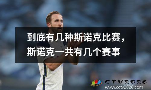 到底有几种斯诺克比赛，斯诺克一共有几个赛事