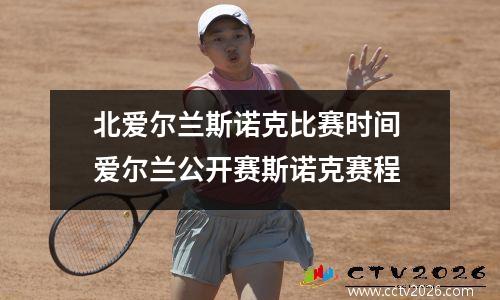 北爱尔兰斯诺克比赛时间 爱尔兰公开赛斯诺克赛程