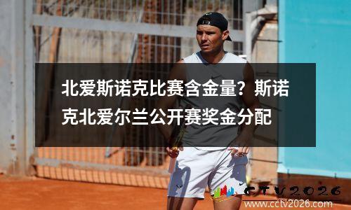 北爱斯诺克比赛含金量？斯诺克北爱尔兰公开赛奖金分配