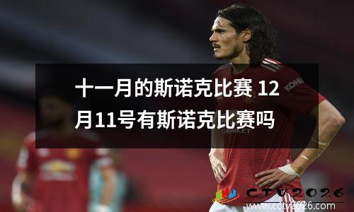 十一月的斯诺克比赛 12月11号有斯诺克比赛吗