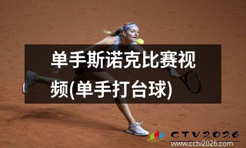单手斯诺克比赛视频(单手打台球)