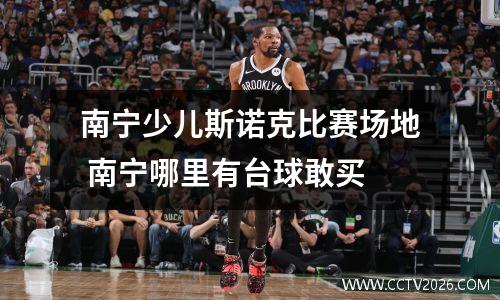 南宁少儿斯诺克比赛场地 南宁哪里有台球敢买