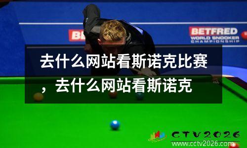 去什么网站看斯诺克比赛，去什么网站看斯诺克