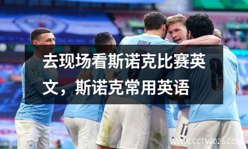 去现场看斯诺克比赛英文，斯诺克常用英语
