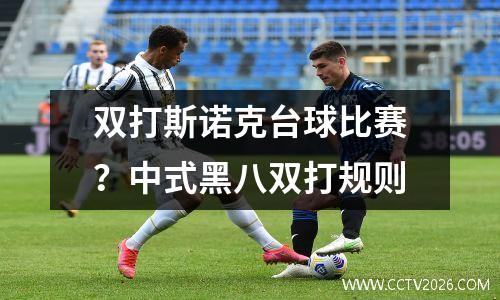 双打斯诺克台球比赛？中式黑八双打规则