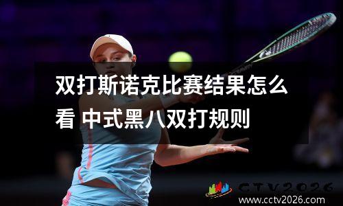 双打斯诺克比赛结果怎么看 中式黑八双打规则