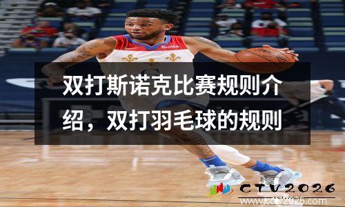 双打斯诺克比赛规则介绍，双打羽毛球的规则