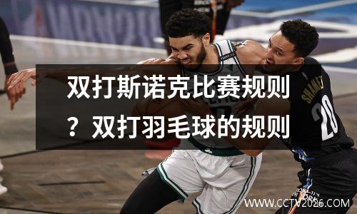 双打斯诺克比赛规则？双打羽毛球的规则
