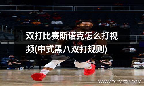 双打比赛斯诺克怎么打视频(中式黑八双打规则)